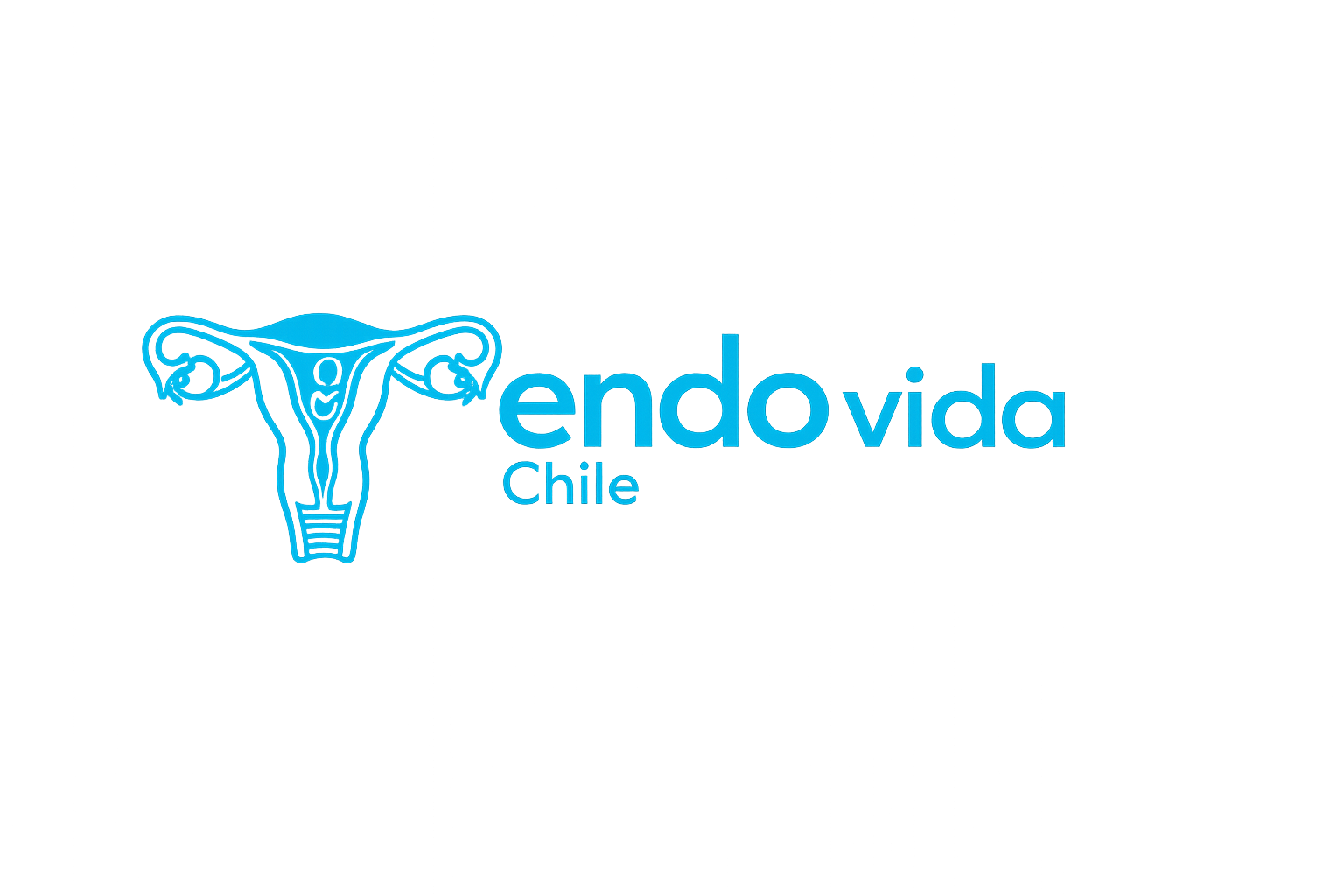 endovidachile.cl